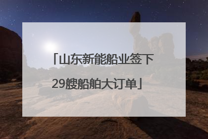 山东新能船业签下29艘船舶大订单